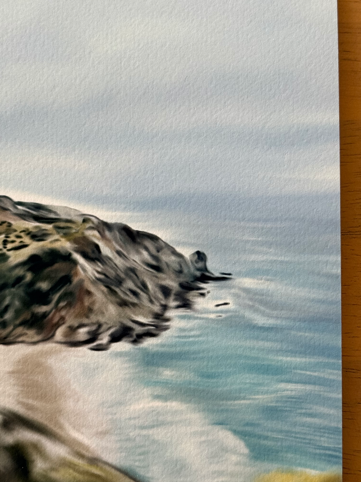 Catalina Island Art Print