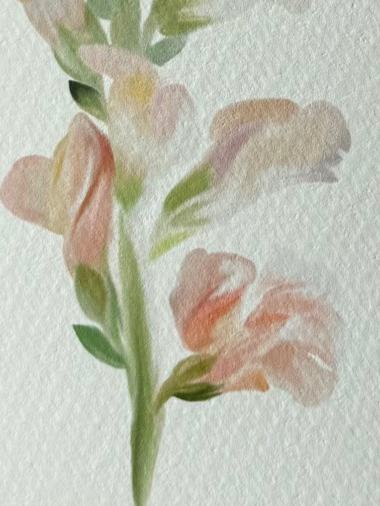 Snapdragon Art Print
