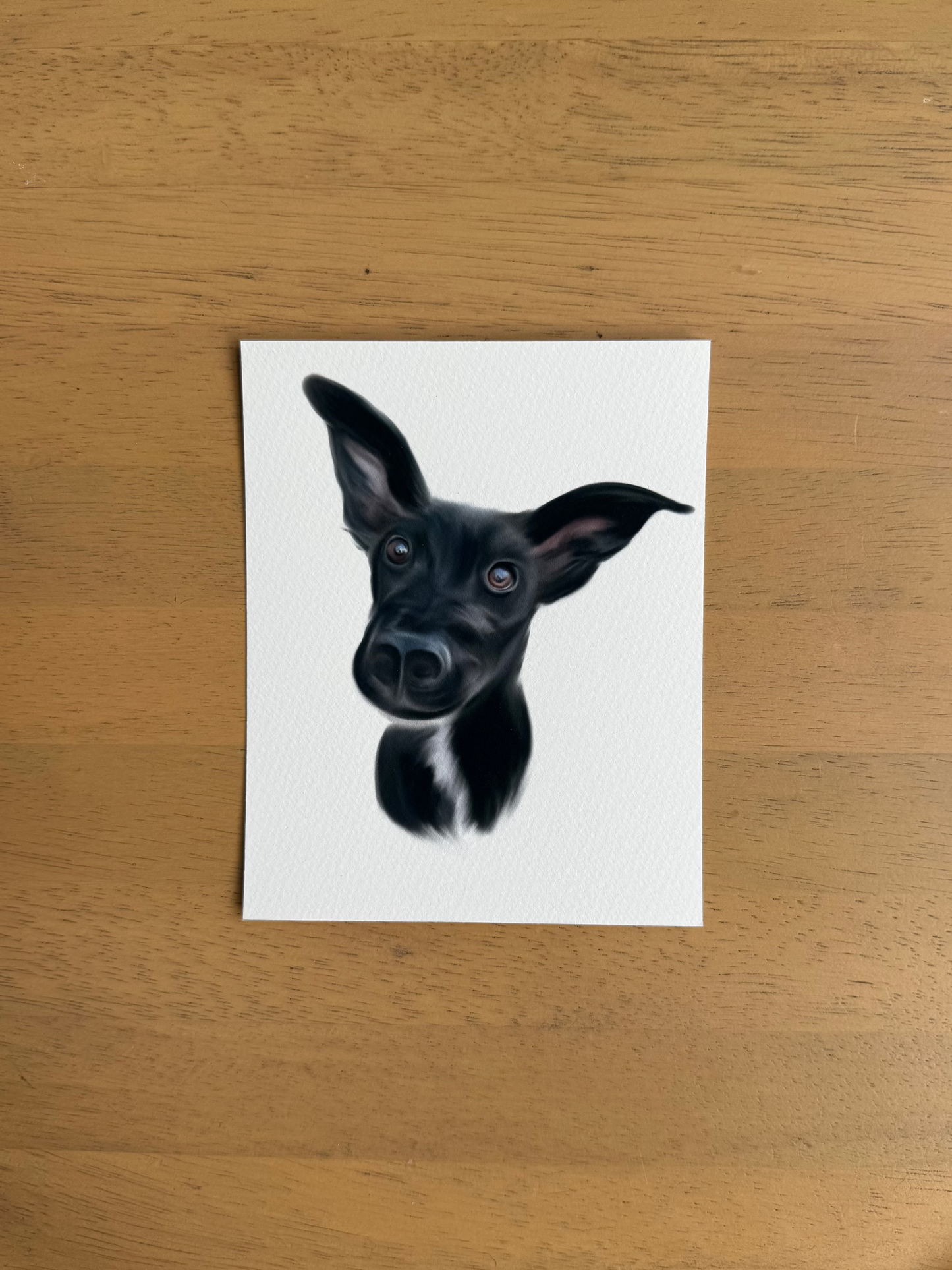 Custom Pet Portrait