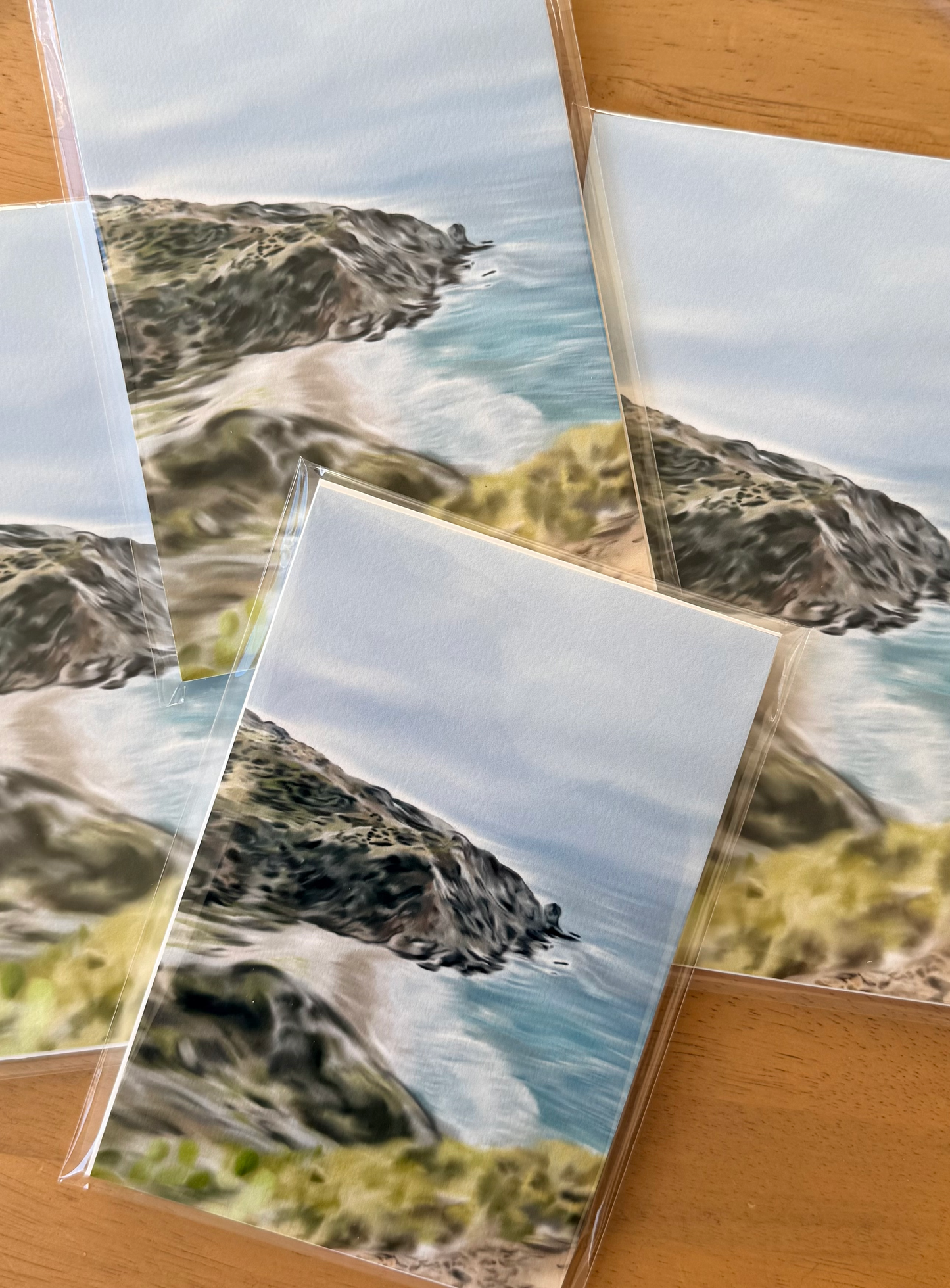 Catalina Island Art Print