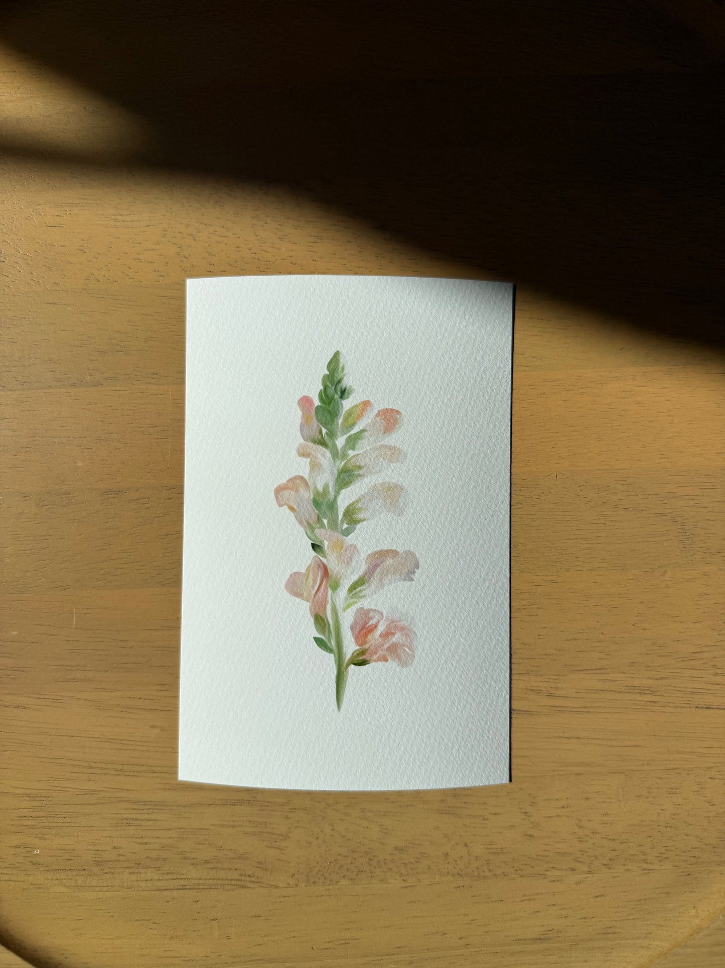 Snapdragon Art Print