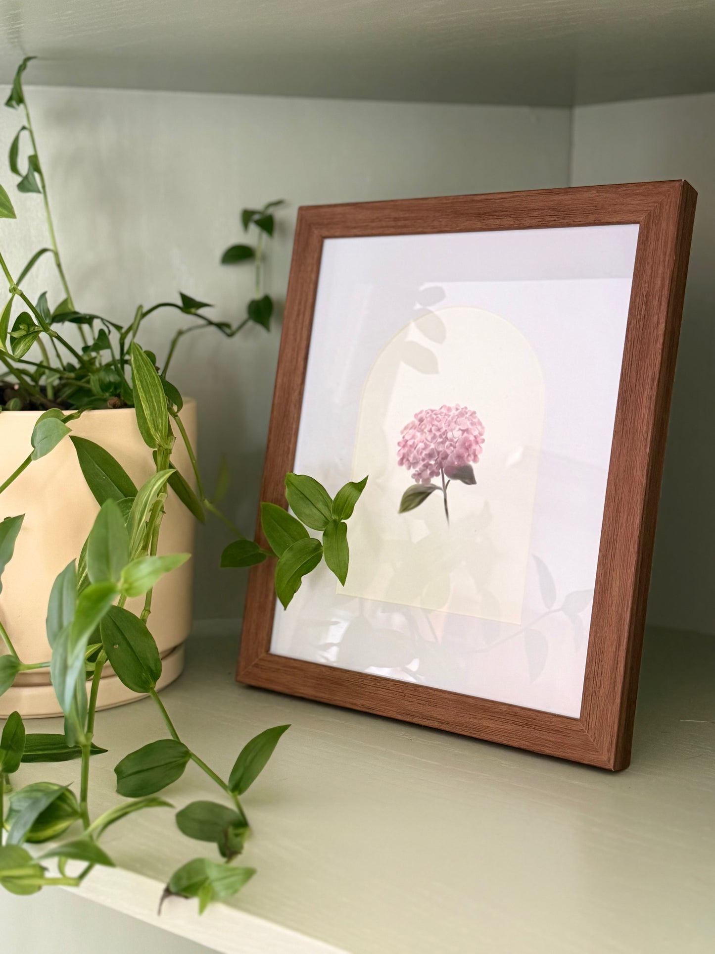 Hydrangea Art Print